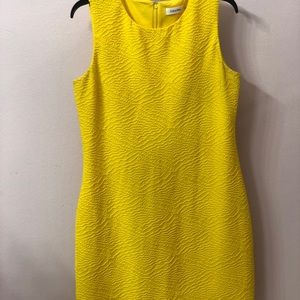 Calvin Klein Size 12 Dress